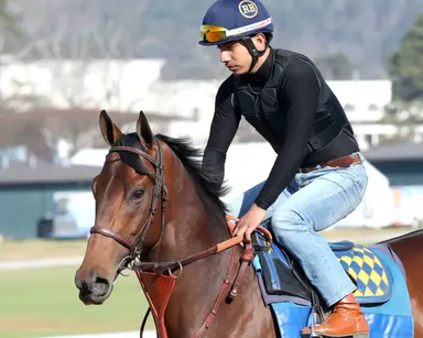 Litmus Test probable for Arkansas Derby