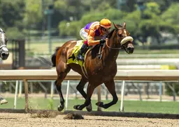 Magnificat gets first stakes win in Desert Stormer
