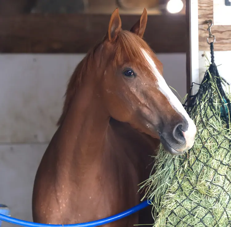 Ourdaydreaminggirl at Parx Sept 18 2025