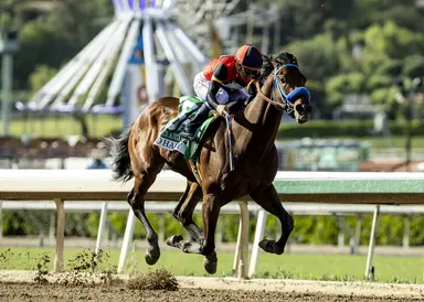 At 59, Smith headed back to Kentucky Derby with So Happy