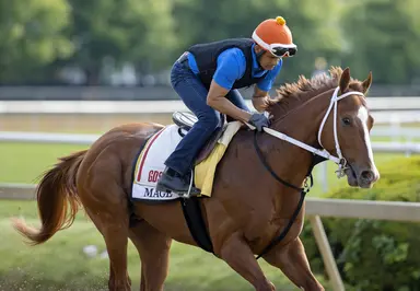 148th Preakness: Mage finishes off solid gallop with a flourish