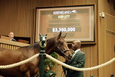 Keeneland September: $3.3 million Gun Runner colt tops opening session as sale heats up fast