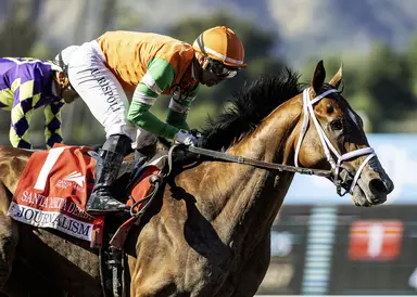 Rispoli: Journalism will see different kind of race in Kentucky Derby