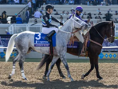 Lovesick Blues to Dubai for Golden Shaheen