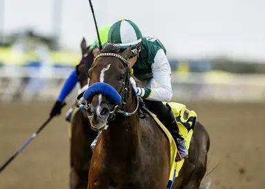 Favorites vulnerable in Cal Cup Derby, Oaks