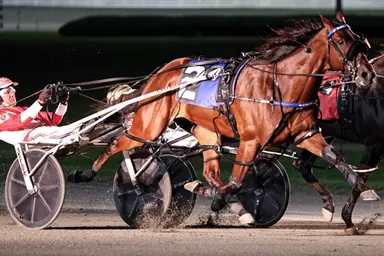 Yonkers: Strength in Borgata numbers for trainer Scott Blackler