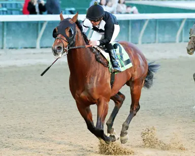 Coast to Coast Pick 5 play for Saturday, Feb. 10, 2024