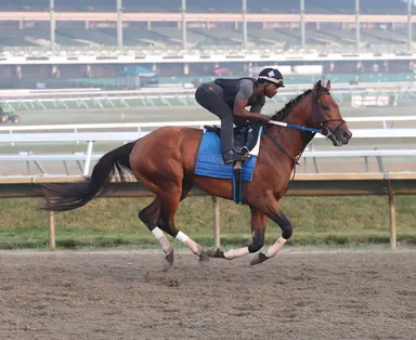 Weekend GamePlan: Picks for Haskell, Coaching Club American Oaks, Molly Pitcher