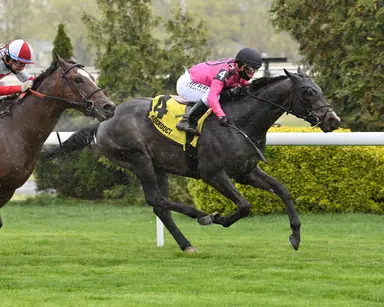 Blackmail takes the rail route in Woodhaven Stakes