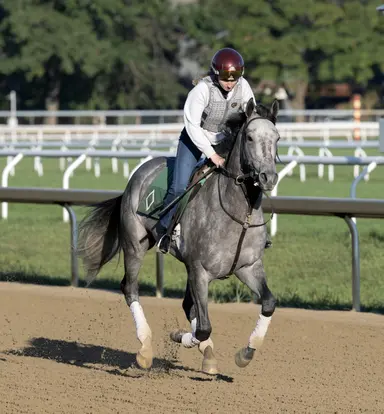 Mott pair fights for right to step back into stakes company
