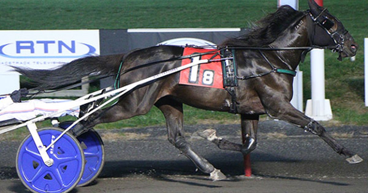 Meadowlands: Busy Miss Lissy S, Twin B Seven Sins shine in Kindergarten ...