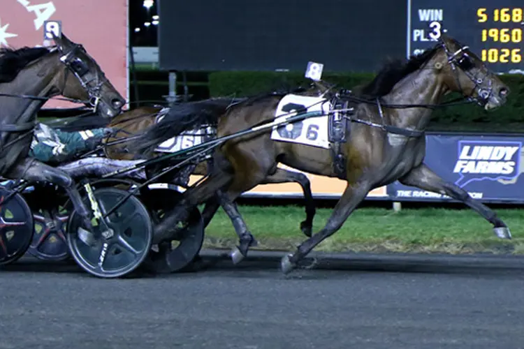 All Time Trot S 11-15-25