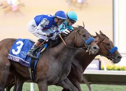 Breeders' Cup Dirt Mile: Nysos outlasts Citizen Bull