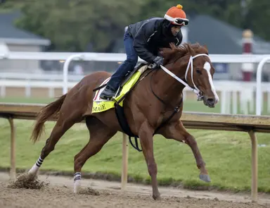 This week's Fasig-Tipton Midlantic sale has high bar to top