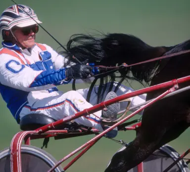 Harness: Post-racing career instrumental in O’Donnell earning Dan Patch award