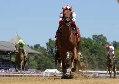 Ladies Stakes a distance test for red-hot Weigh the Risks