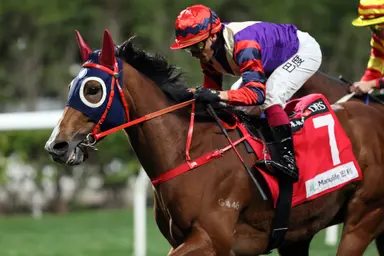 Happy Together steps up for Group 3 January Cup