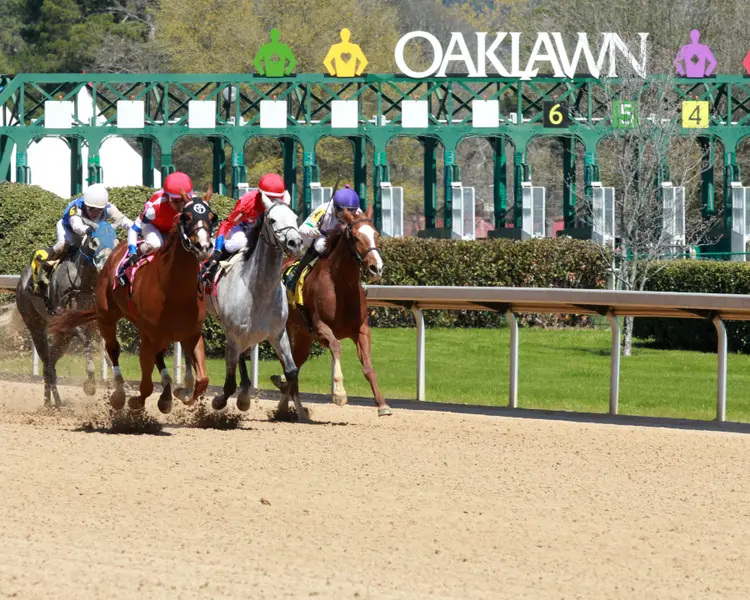 Oaklawn Scenics09.3.18.23.CO_.jpg