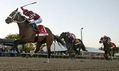 Kentucky Derby: With Hades, Orseno rises back to the top