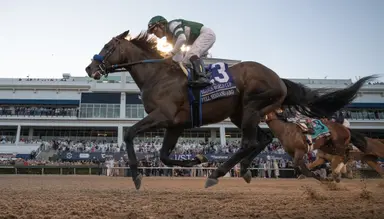 Full Serrano entered in eight-horse Oaklawn Mile