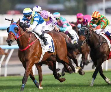 Road to the Derby: Patch Of Cosmo’s stunning comeback sets up Hong Kong Classic Mile showdown