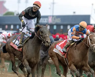 Golden Tempo to stand at Lane's End when racing career ends