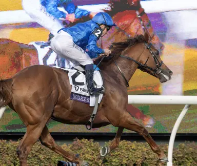 Royal Ascot 2026: Host of American juveniles invade world-class meet