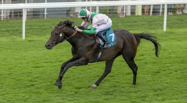 Breeders’ Cup winner bids for LONGINES Hong Kong Sprint glory