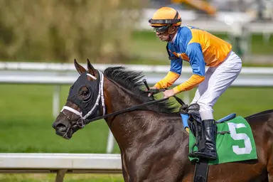 Weekend GamePlan: Picks for Ohio Derby, Wild Applause, Ballade