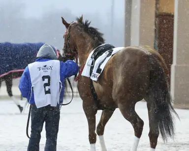 Turfway further adjusts schedule; Thursday card canceled due to winter storm