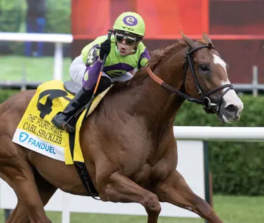 Carl Spackler returning to U.S., will stand at Lane's End for Ace Stud