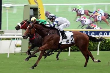 Rubylot leads charge of Four-Year-Old Classic Series contenders