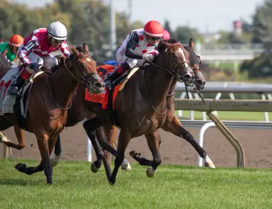 And One More Time gets cutback against Brown trio in Plenty of Grace