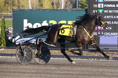 Woodbine Mohawk Park:  Fillies battle in SBOA Stakes eliminations