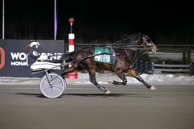 Woodbine Mohawk Park: International Women’s Day Race set for March 8