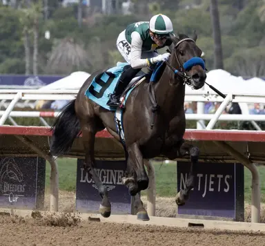Santa Anita Derby Day: Ron Gierkink's late pick five play