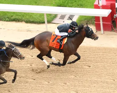 Von Hemel noncommital on Preakness for Crupper