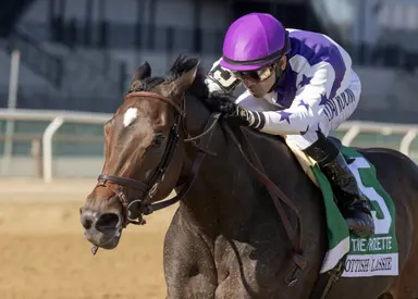 OBS begins 50th anniversary season with March sale