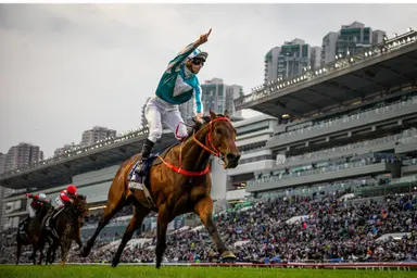 Romantic Warrior, Ka Ying Rising, and Goliath headline LONGINES selected runners