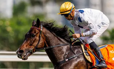 Another record beckons for fresh Golden Sixty in LONGINES Hong Kong Mile