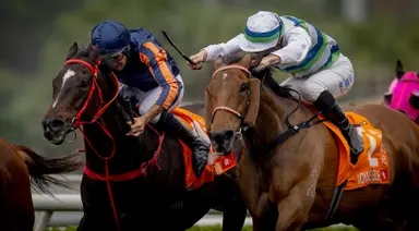 Hugh Bowman to chase Group 3 features on Red Lion, Helios Express