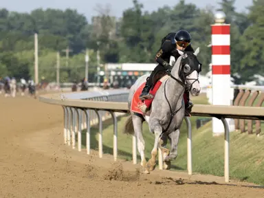 Sandman will stand at Rockridge Farm in New York for 2027