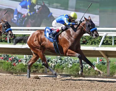 Kentucky Derby: Who's hot, who's not for March 22, 2023
