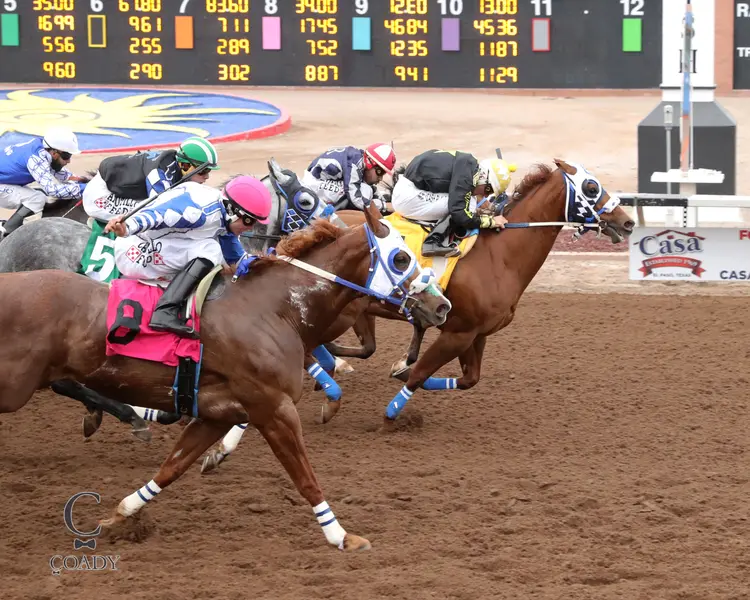 TOASTIN HEROS - Championship At Sunland Park Stakes G1 - 02-07-26 - R11 - Sunland Park - Finish.jpg