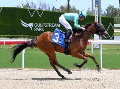 Bayou Brigid steadily improving