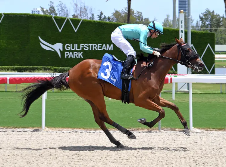 Bayou Brigid wins maiden at GP Aug 8 2026