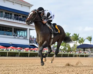 Kentucky Derby pedigree profile: Chief Wallabee