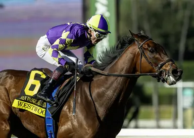 Westwood's San Pasqual win may clear path to Santa Anita Handicap