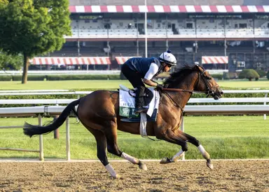 Pick six carryover of $46K available for Wednesday Belmont card