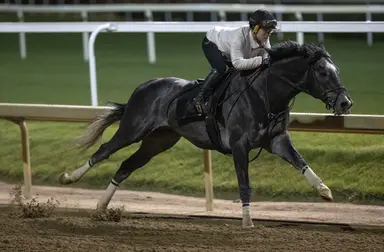 Classic meet kicks off with Speed King in Fifth Season